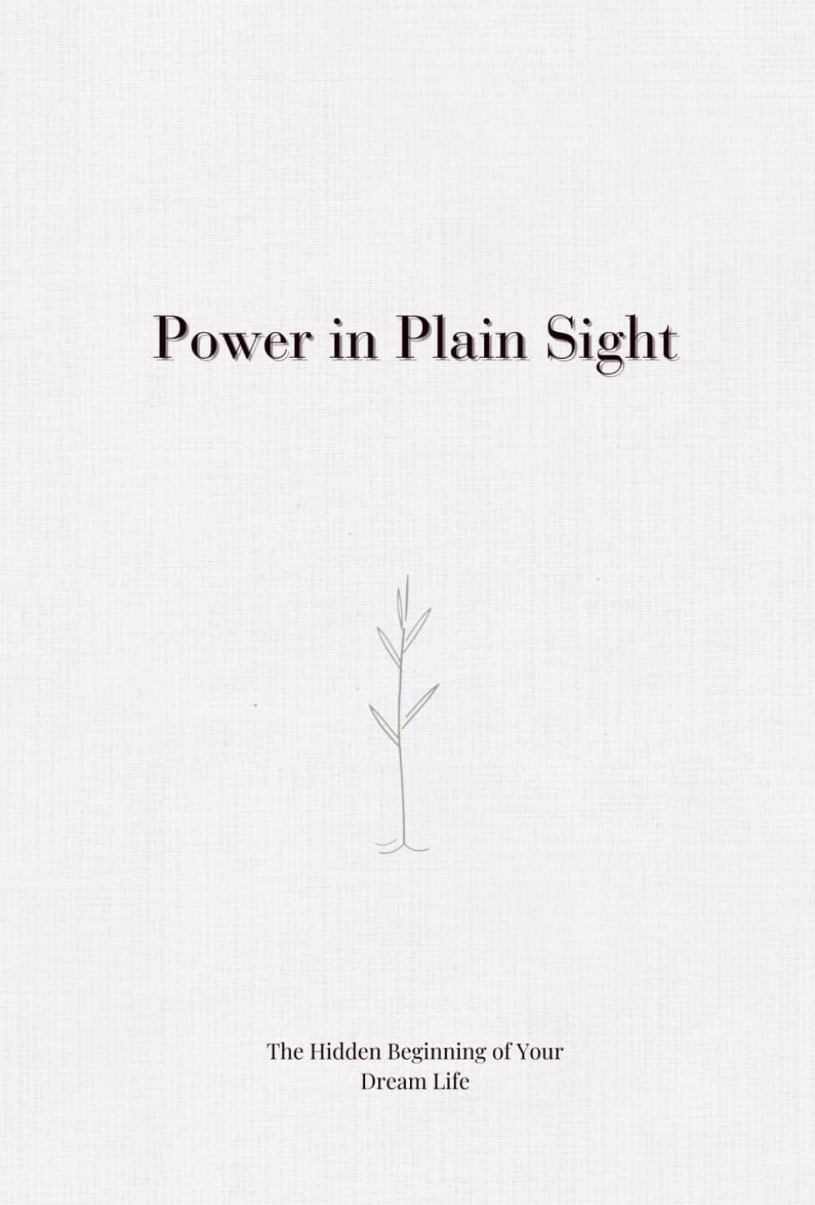 Power in Plain Sight Digital Download