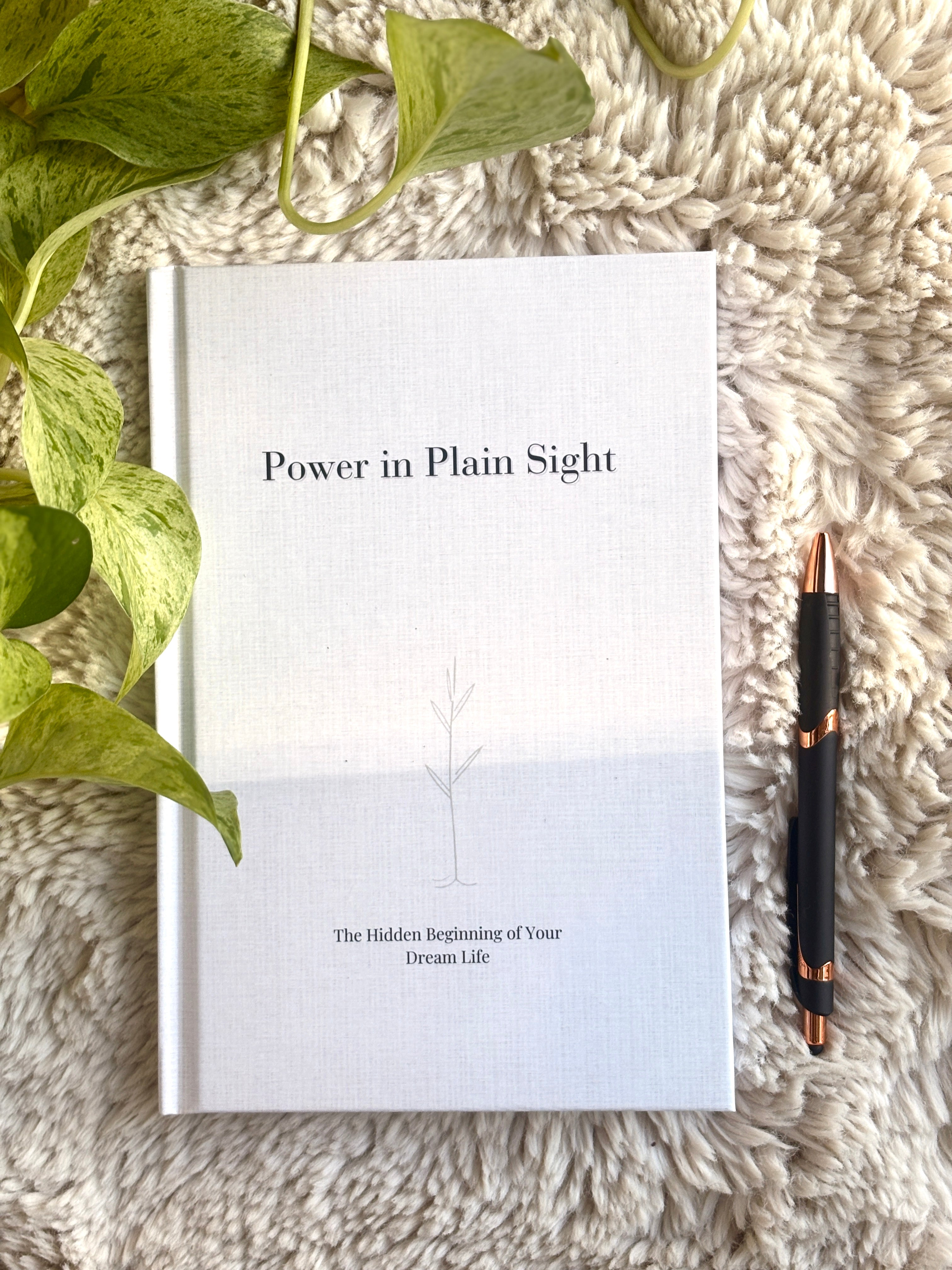Made to Order Hardcover - Power In Plain Sight Guided Journal