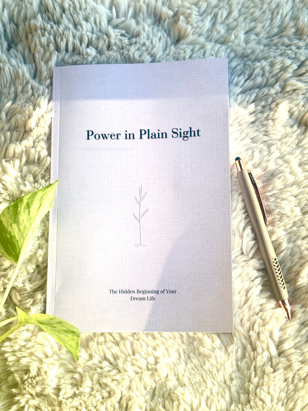 Power in Plain Sight Digital Download