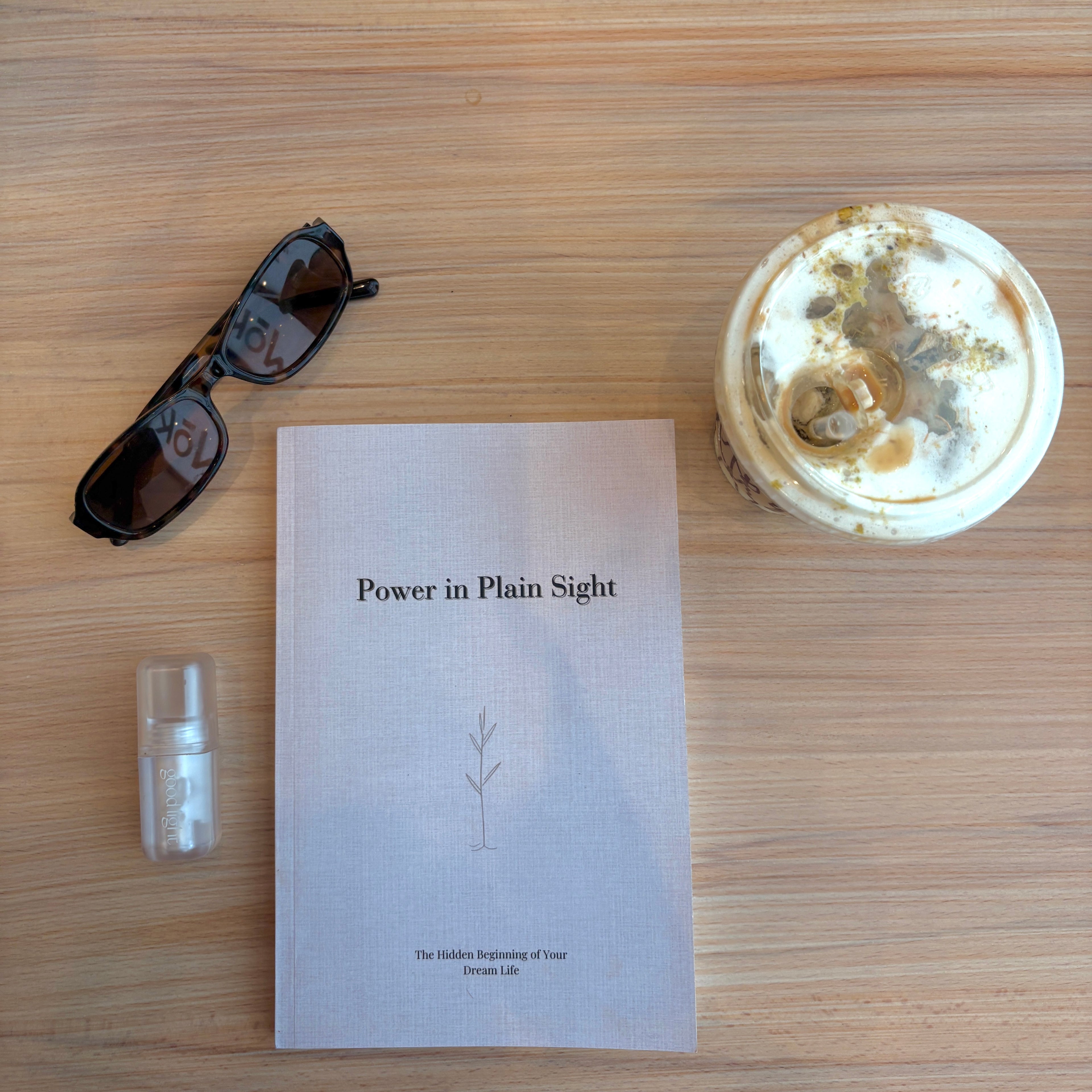 Power In Plain Sight Guided Journal
