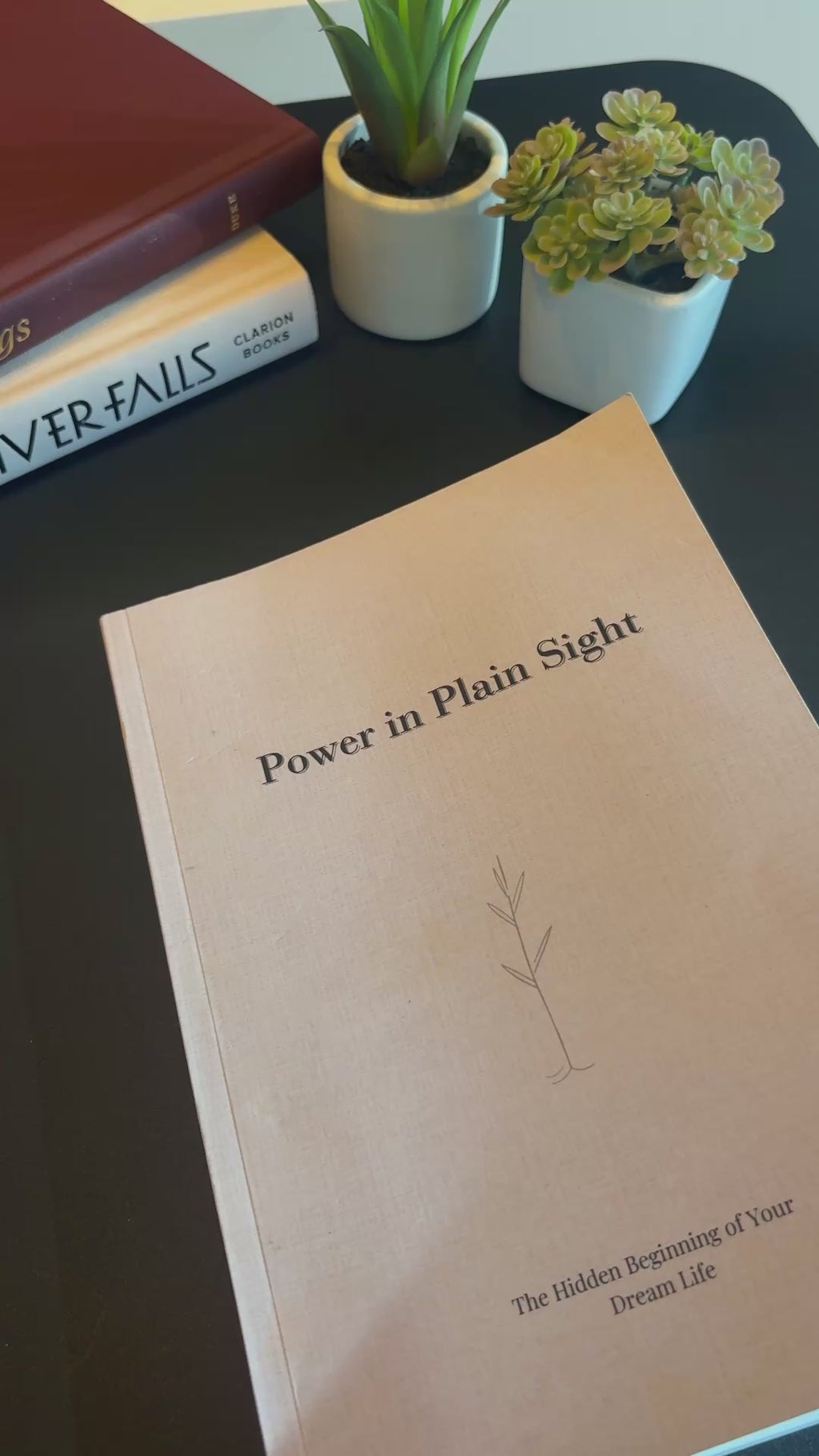 Power In Plain Sight Guided Journal