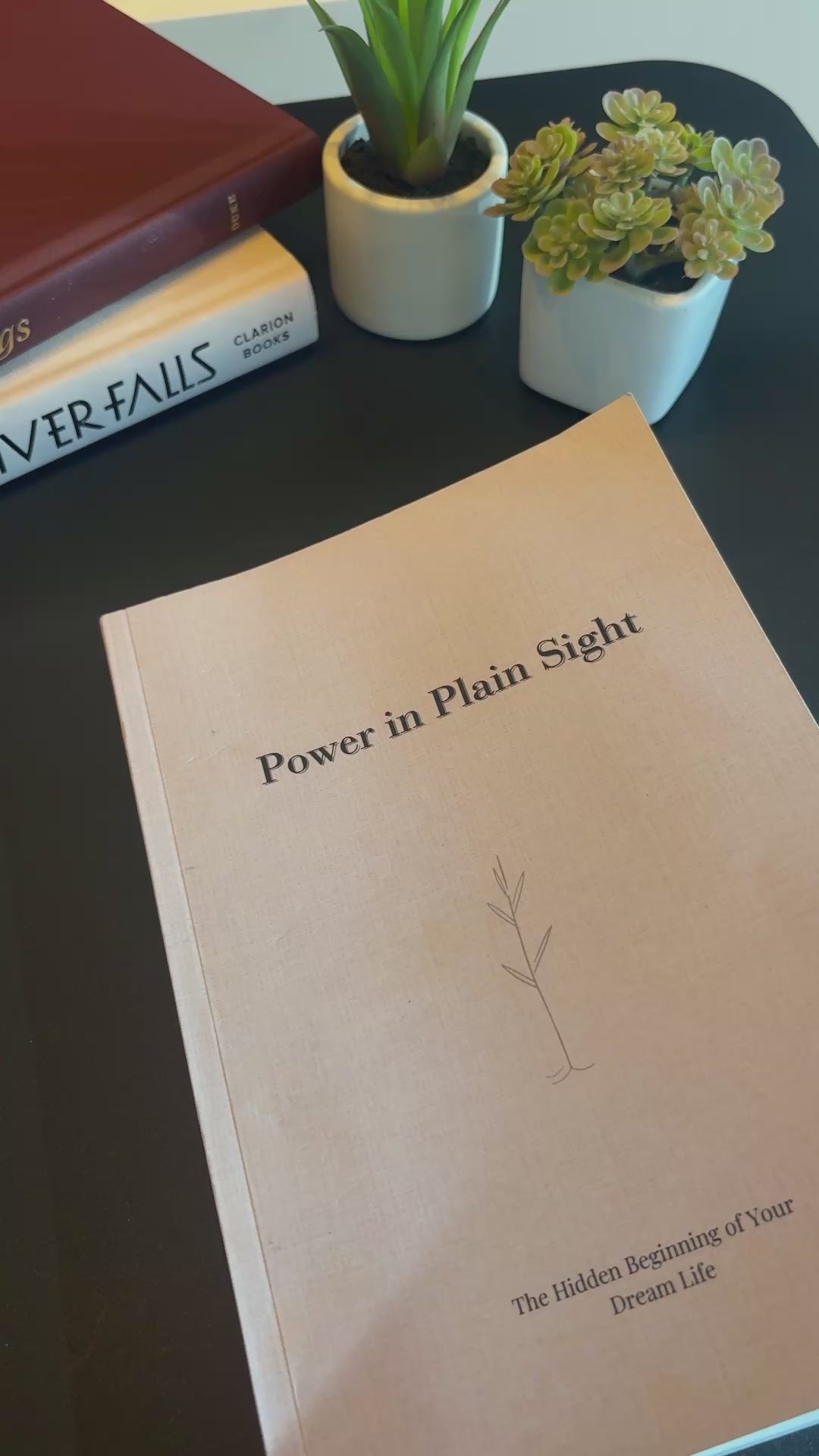 Power In Plain Sight Guided Journal